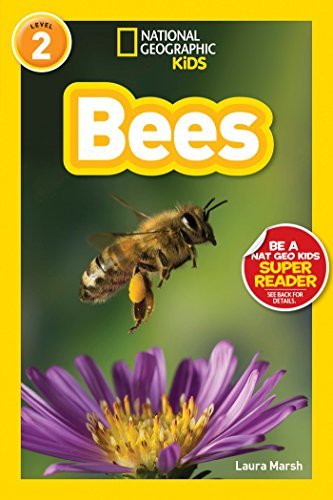 Book cover of Bees by Laura Marsh