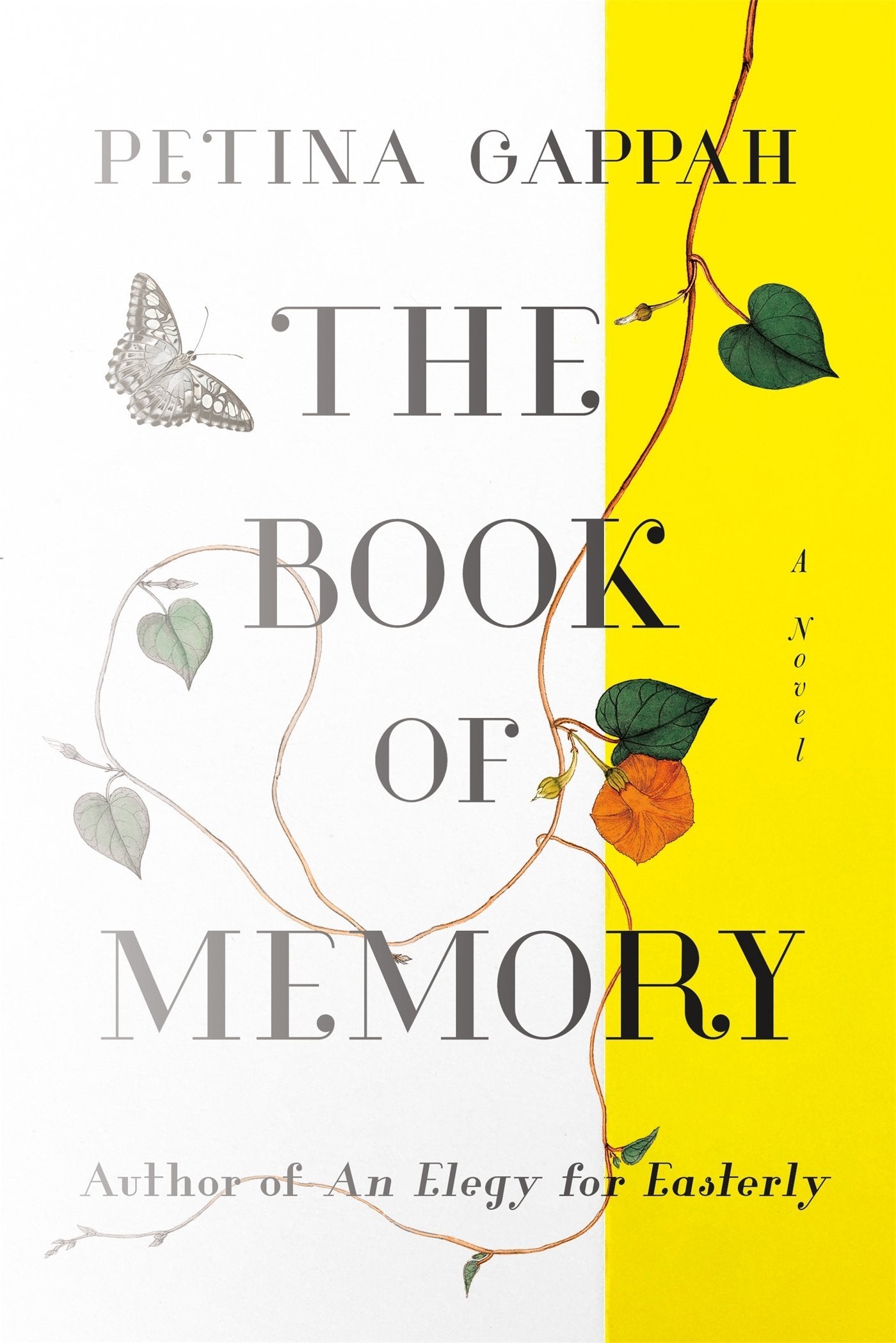 Book cover of The Book Of Memory by Petina Gappah