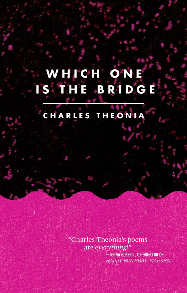 Book cover of Which One Is The Bridge by charles theonia