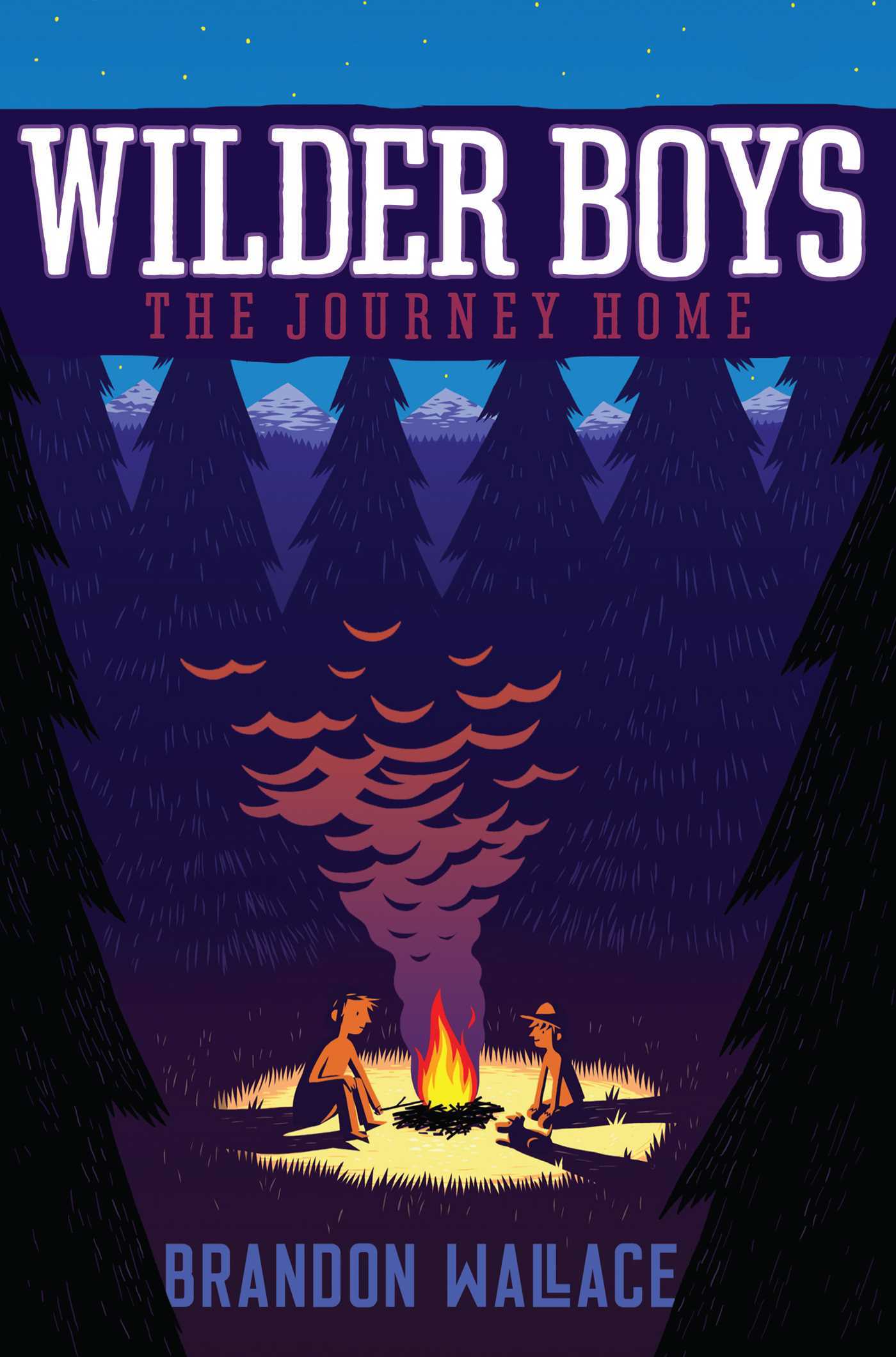 Book cover of The Journey Home by Brandon Wallace