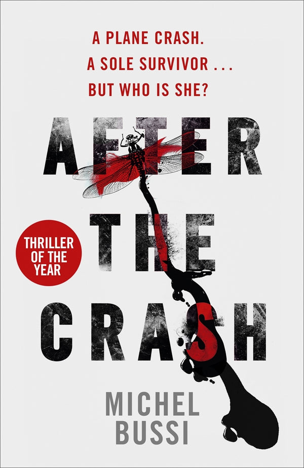 Book cover of After The Crash by Michel Bussi