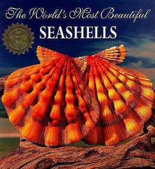 Book cover of The World's Most Beautiful Seashells by Pete Carmichael