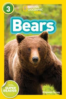 Book cover of Bears by Elizabeth Carney