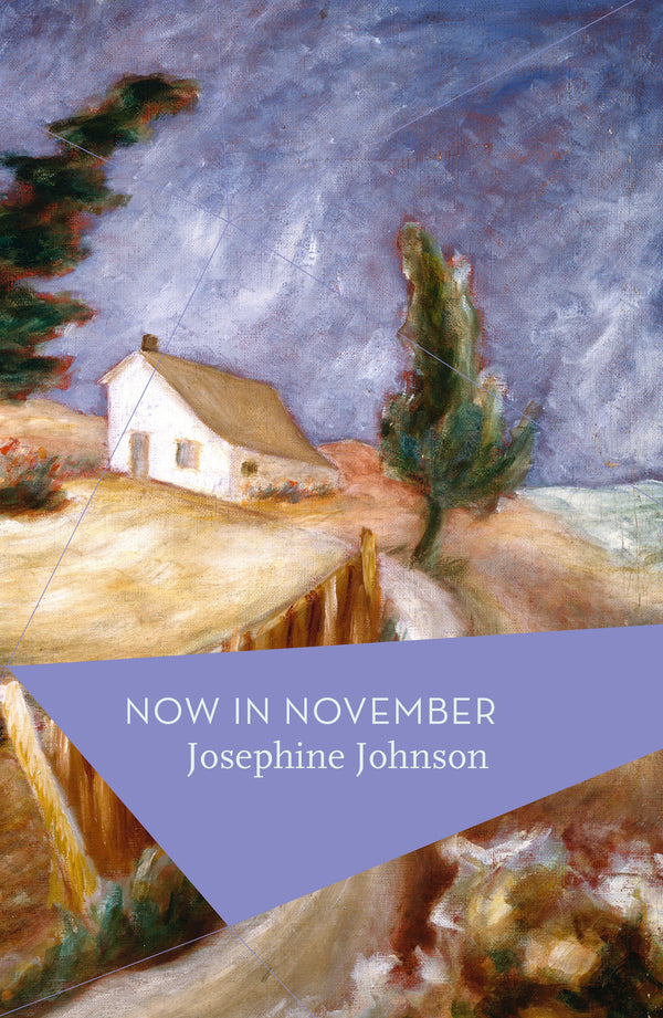 Book cover of Now In November by Josephine Winslow Johnson