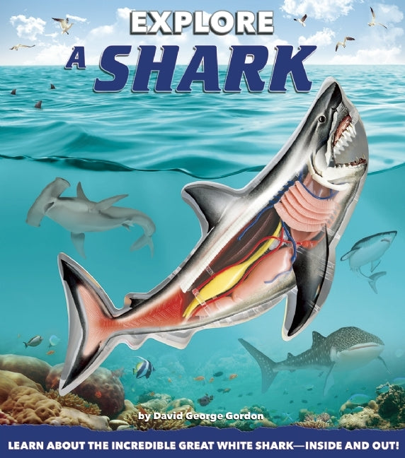 Book cover of Explore a Shark by David George Gordon, Christian Kitzmüller, Davide Bonadonna (Illus.)