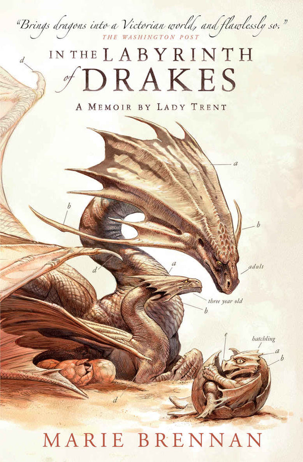 Book cover of In The Labyrinth Of Drakes by Marie Brennan