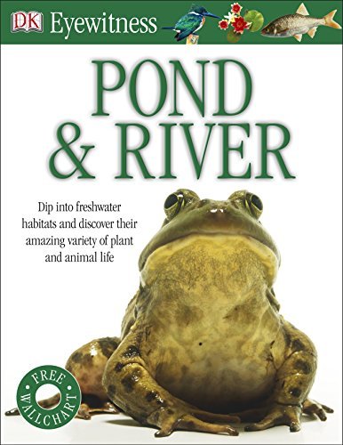 Book cover of Pond & River by Marc Vandersteen- Dk