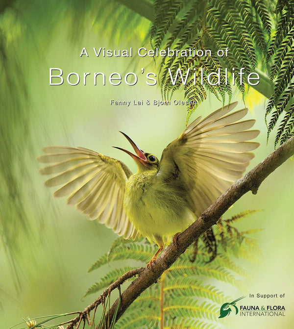 Book cover of A Visual Celebration of Borneo's Wildlife: [All Royalties Donated to Fauna & Flora International] by Fanny Lai, Bjorn Olesen