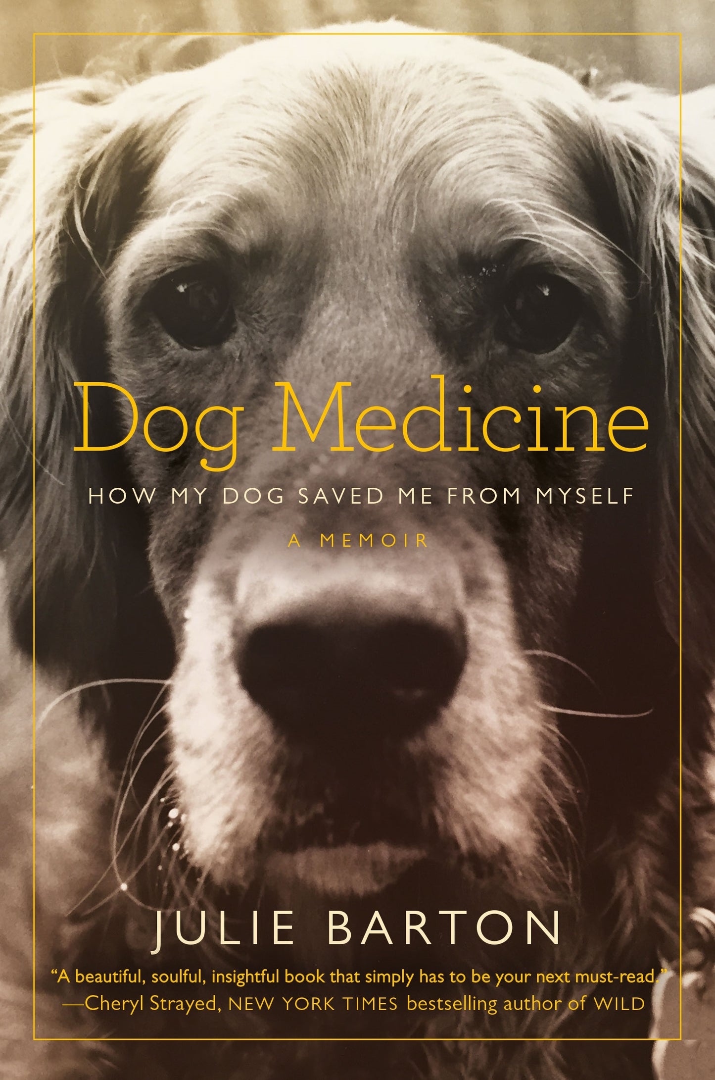 Book cover of Dog Medicine: How My Dog Saved Me From Myself by Julie Barton