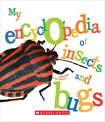 Book cover of My Encyclopedia of Insects and Bugs by Antoine And Valladares Brin, Lionel Valladares