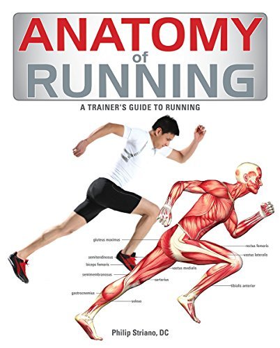 Book cover of Anatomy Of Running by Philip Striano