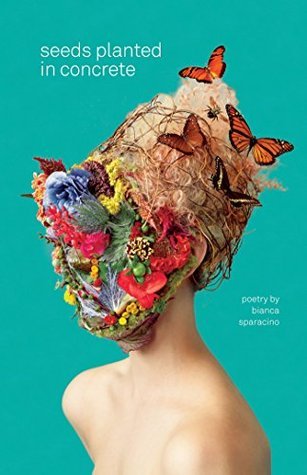 Book cover of Seeds Planted In Concrete by Bianca Sparacino