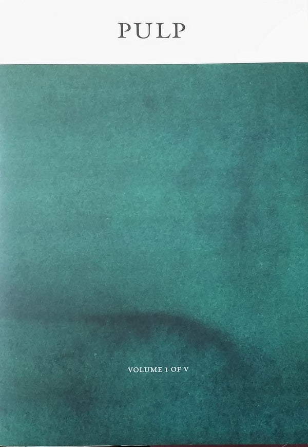 Book cover of Pulp: A Short Biography of the Banished Book. Vol I of V by Shubigi Rao