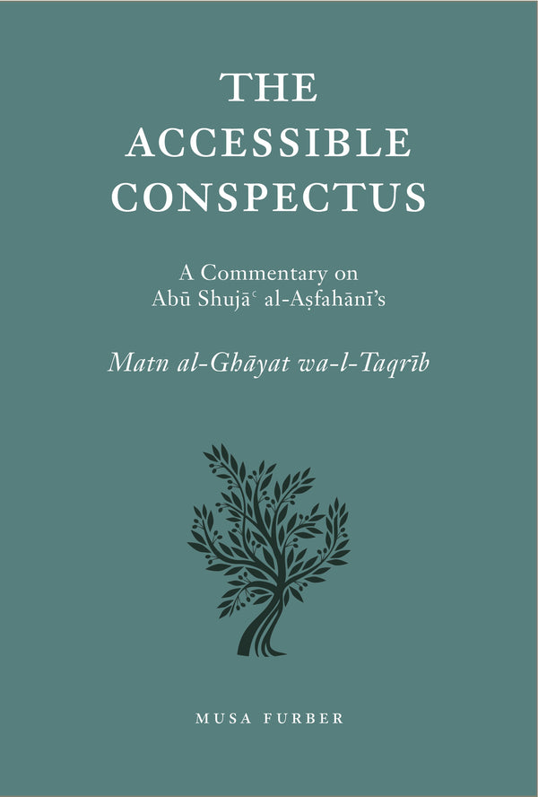 Book cover of The Accessible Conspectus by Musa Furber