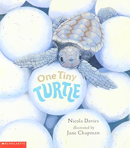 Book cover of One Tiny Turtle by Nicola Davies, Jane Chapman (Illus.)
