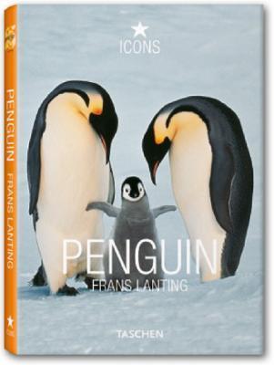 Book cover of Penguin by Christine Eckstrom (Ed.), Annick Volk