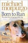 Book cover of Born To Run by Michael Morpurgo