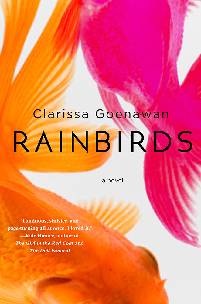 Book cover of Rainbirds by Clarissa Goenawan