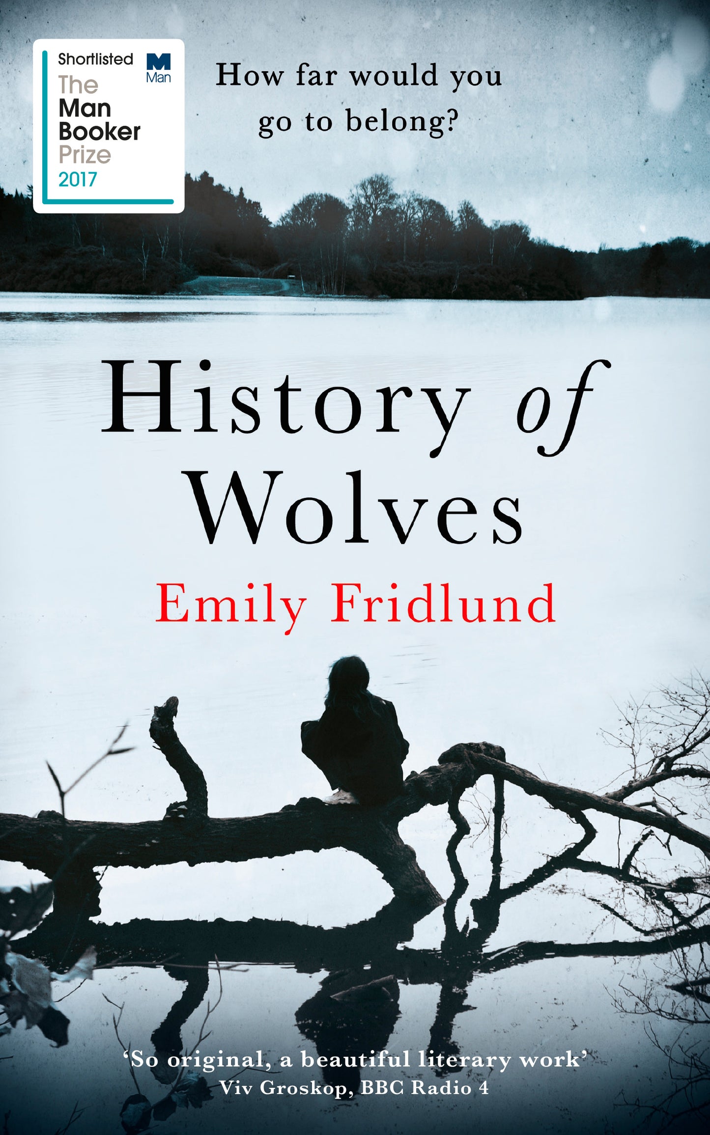 Book cover of History Of Wolves by Emily Fridlund