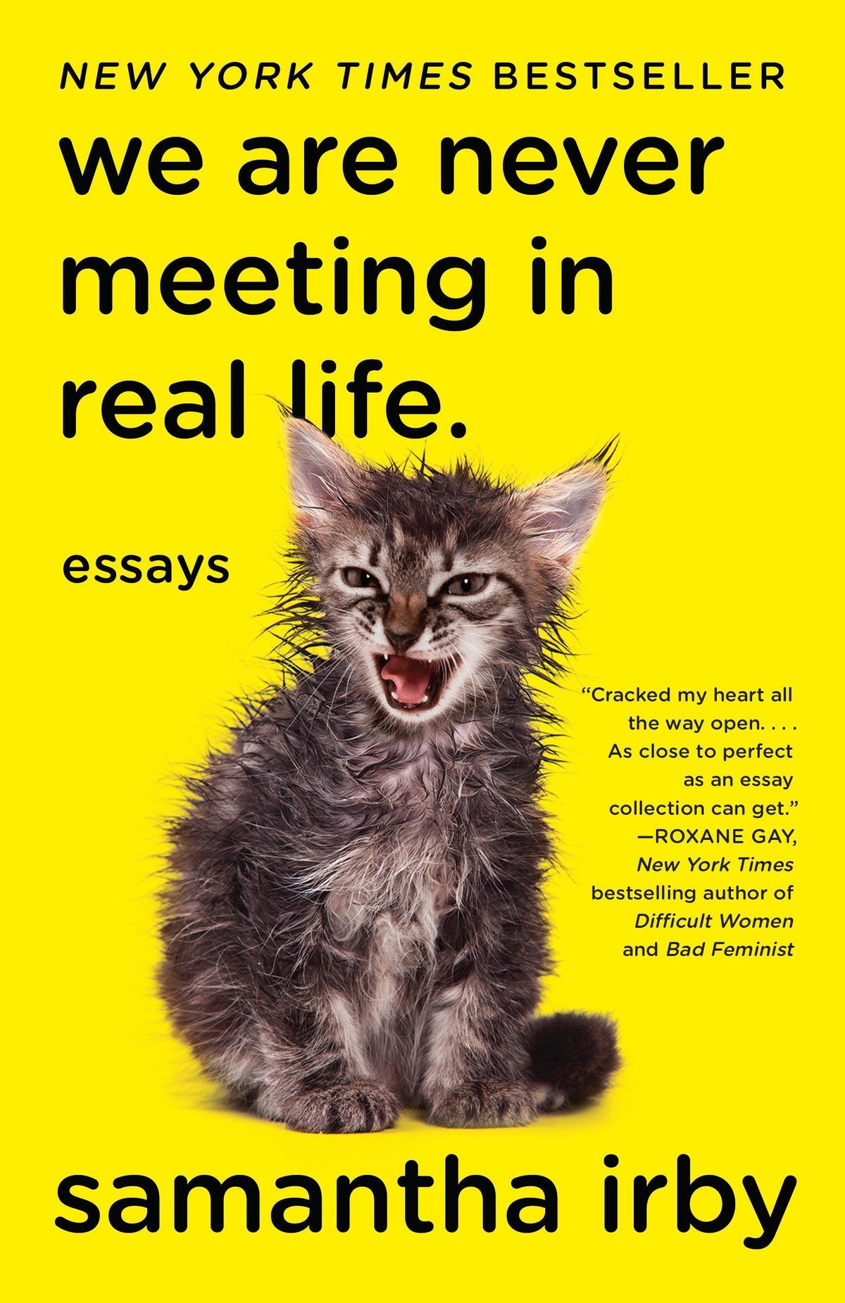 Book cover of We Are Never Meeting In Real Life by Samantha Irby