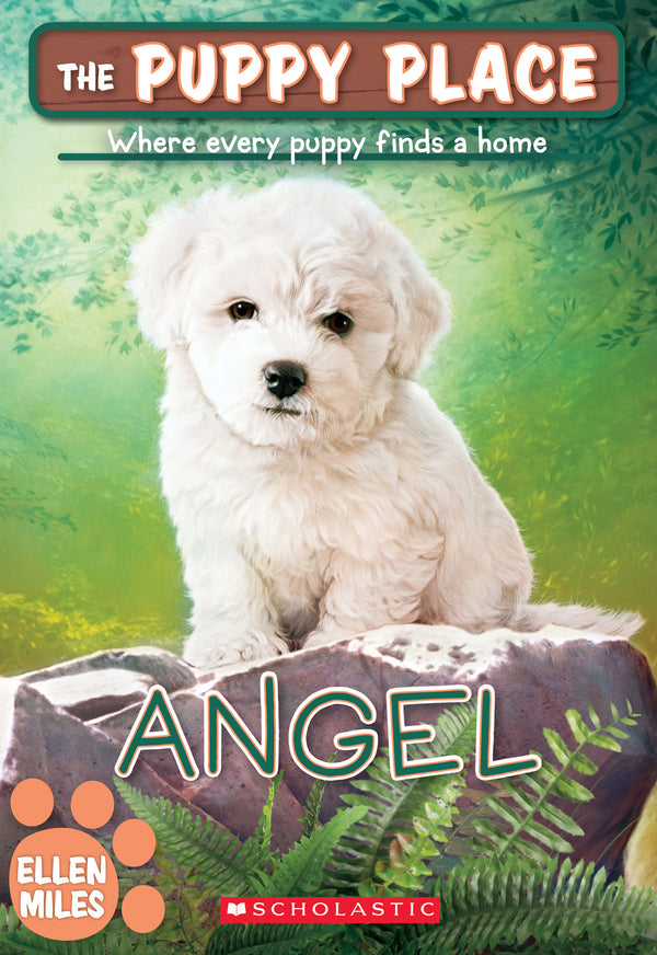 Book cover of Angel by Ellen Miles