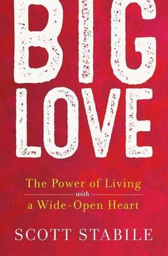 Book cover of Big Love: The Power of Living With a Wide-Open Heart by Scott Stabile