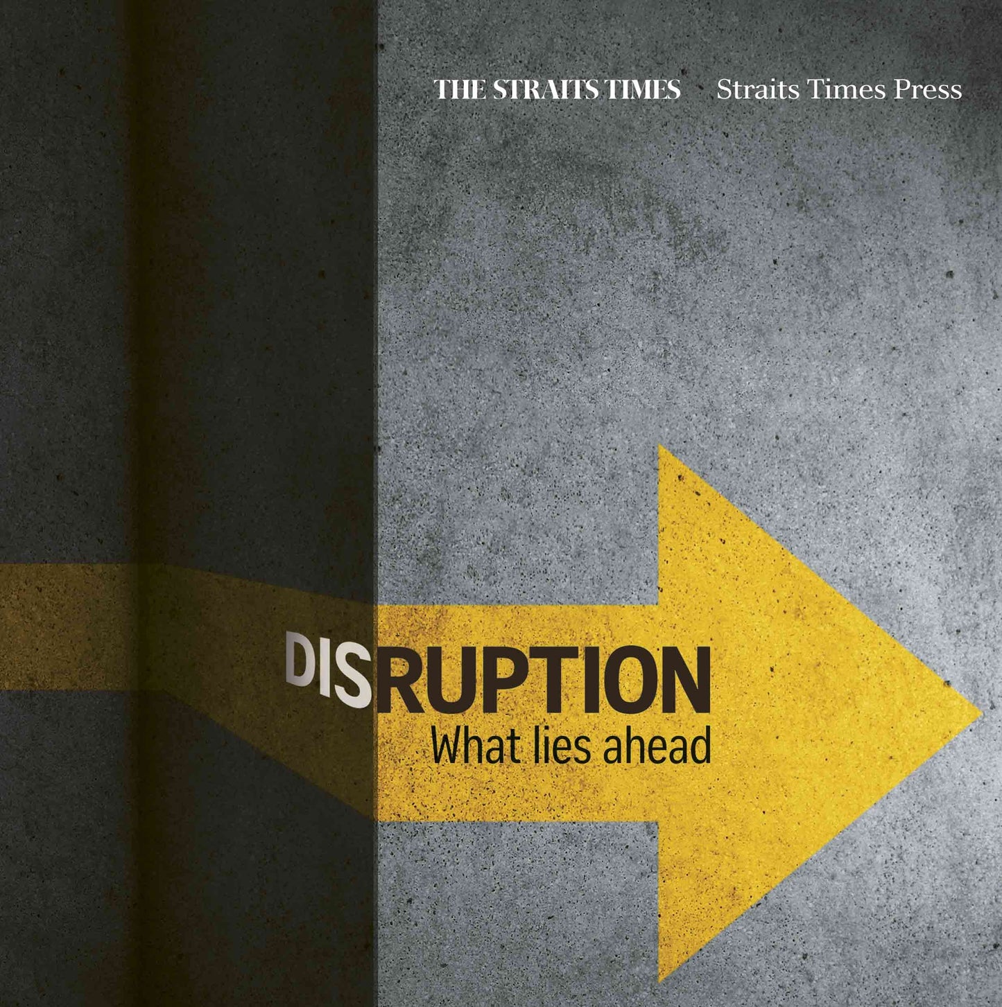 Book cover of Disruption: What Lies Ahead by Straits Times Press