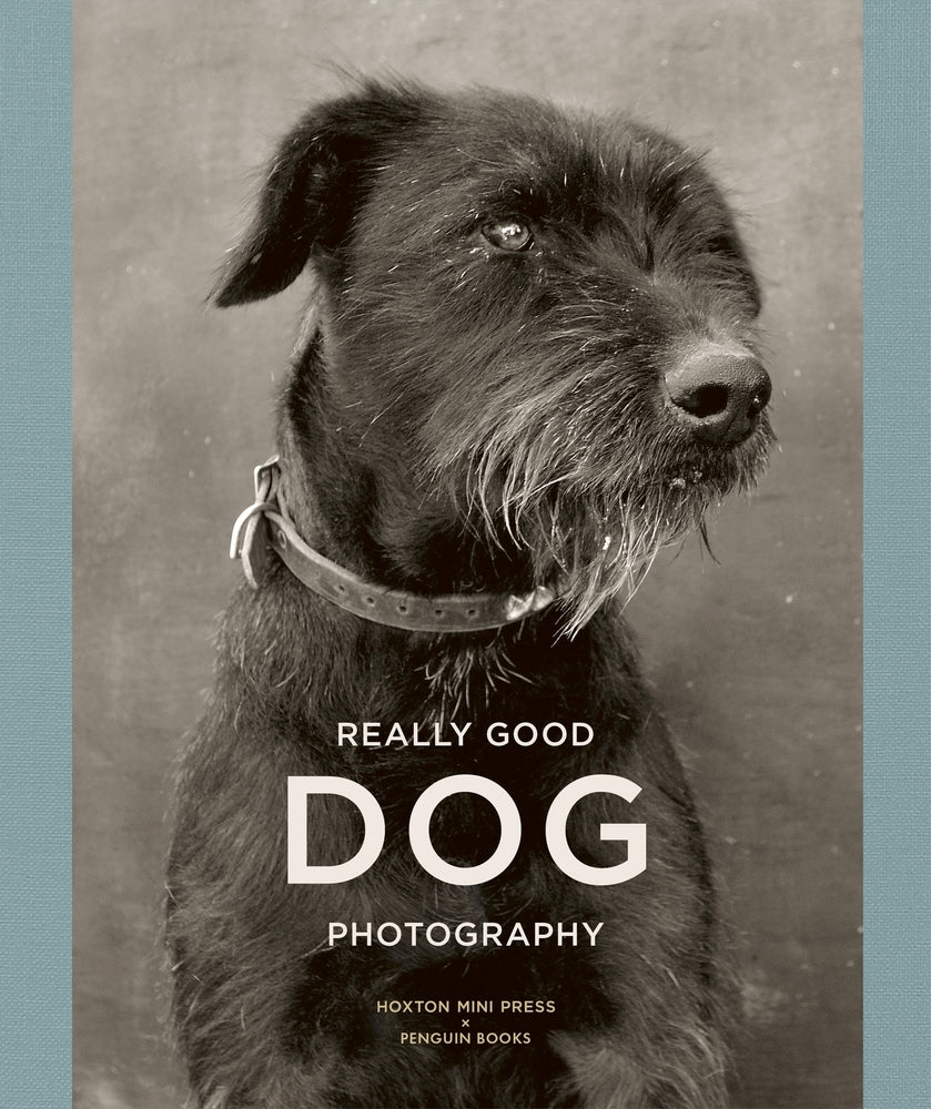 Book cover of Really Good Dog Photography by Lucy Davies