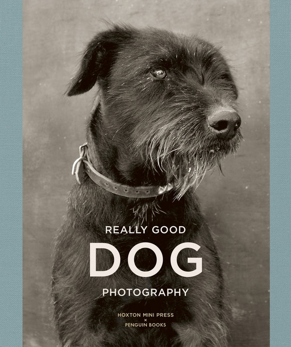 Book cover of Really Good Dog Photography by Lucy Davies