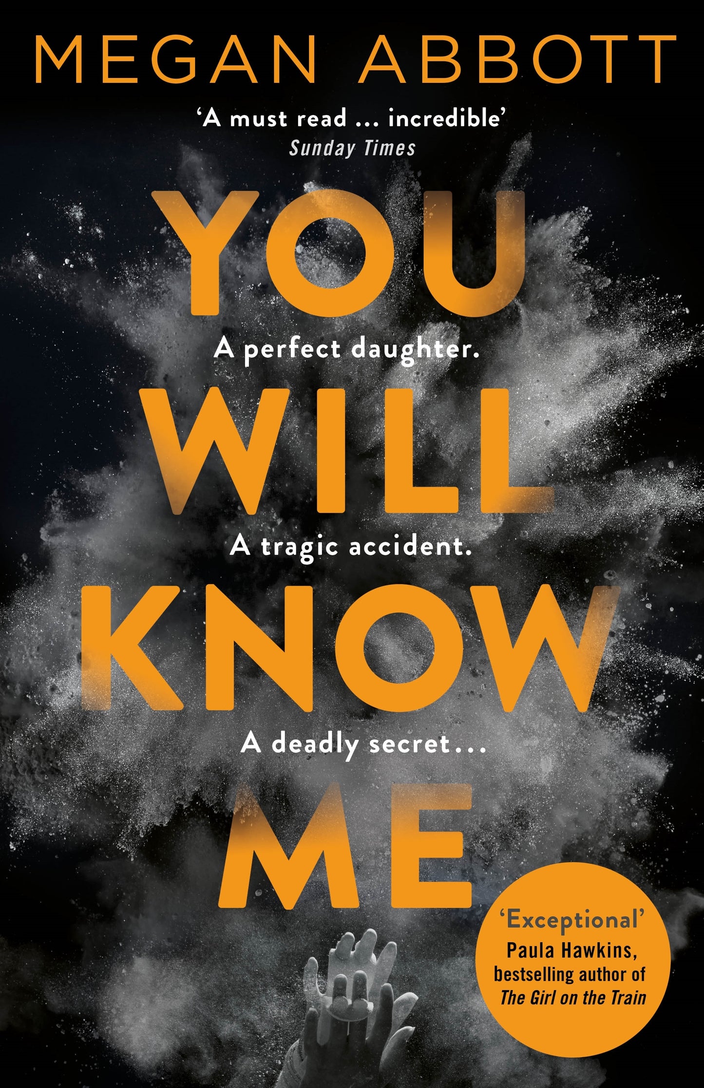 Book cover of You Will Know Me by Megan Abbott