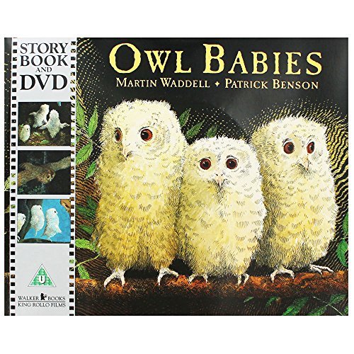 Book cover of Owl Babies by Martin Waddell