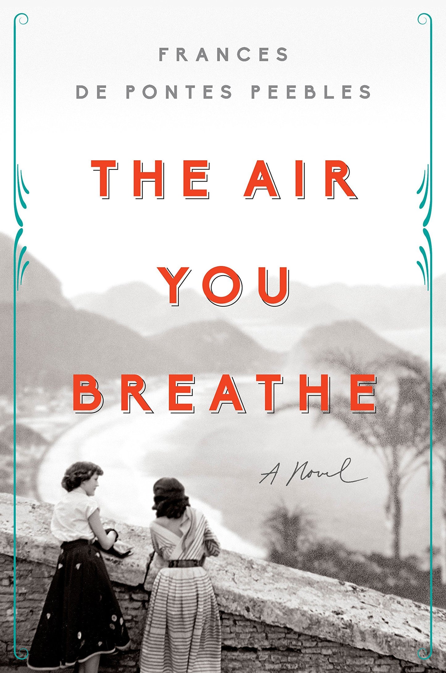Book cover of The Air You Breathe by Frances de Pontes Peebles