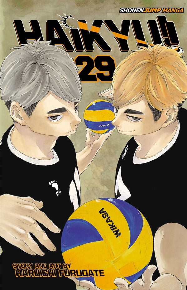 Book cover of Haikyu!!, Vol. 29 by Haruichi Furudate