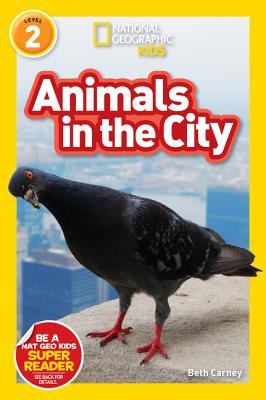 Book cover of Animals In The City by Elizabeth Carney
