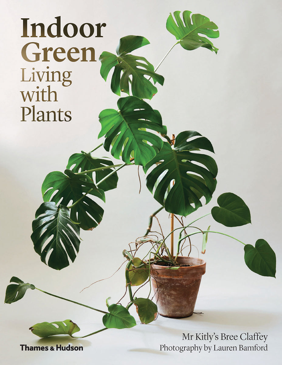 Book cover of Indoor Green: Living With Plants by Bree Claffey, Lauren Bamford (Photographer)