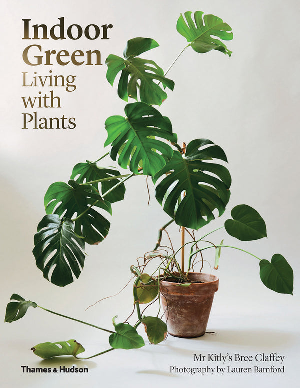 Book cover of Indoor Green: Living With Plants by Bree Claffey, Lauren Bamford (Photographer)