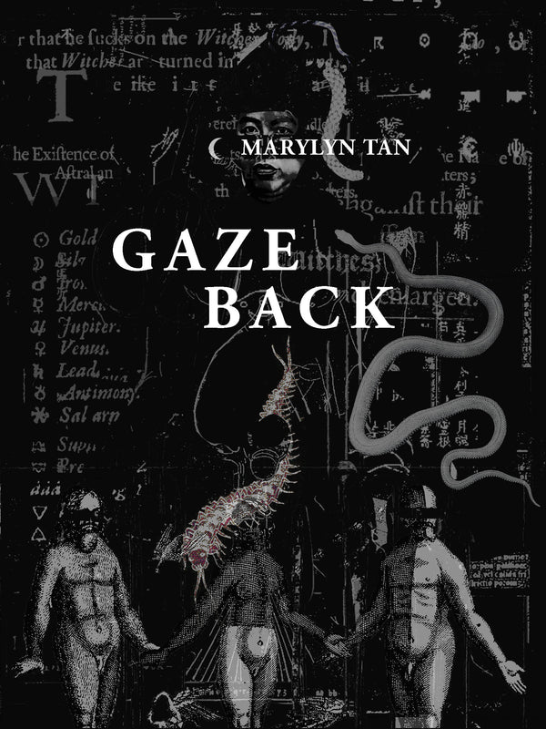 Book cover of Gaze Back by Marylyn Tan
