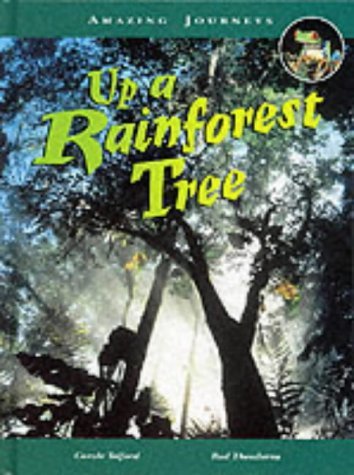 Book cover of Up a Rainforest Tree by Carole Telford