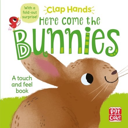 Book cover of Clap Hands: Here Come the Bunnies by Hilli Kushnir