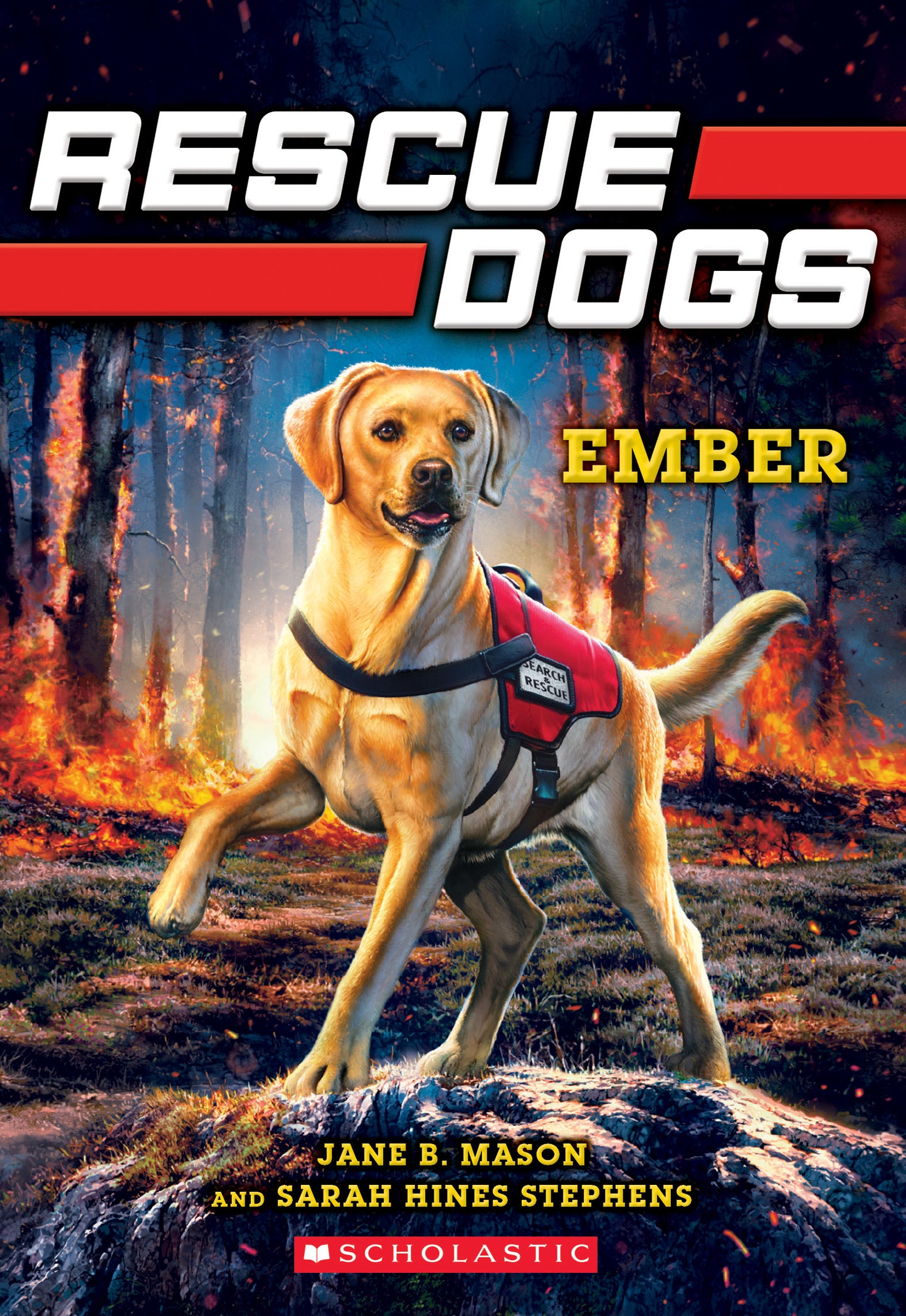 Book cover of Ember by Jane B. Mason, Sarah Hines-Stephens