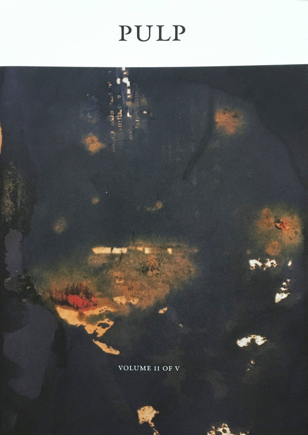 Book cover of Pulp II: A Visual History of the Banished Book by Shubigi Rao