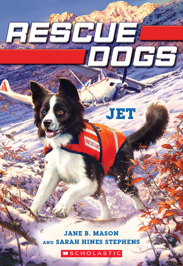 Book cover of Jet by Jane B. Mason, Sarah Hines-Stephens