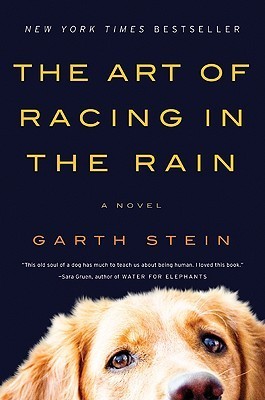 Book cover of The Art Of Racing In The Rain by Garth Stein