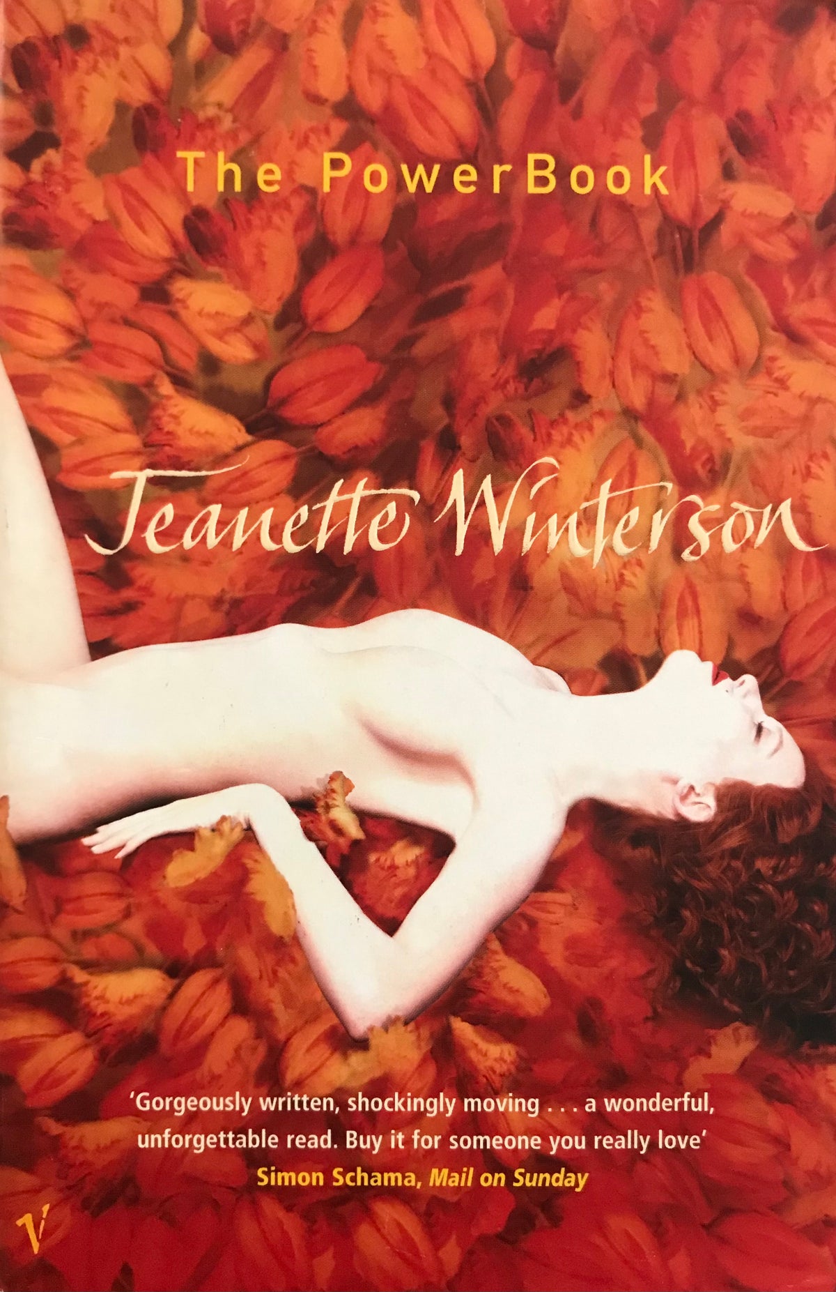 Book cover of The PowerBook by Jeanette Winterson