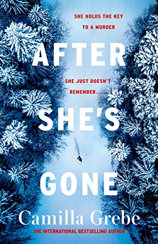 Book cover of After She's Gone by Camilla Grebe
