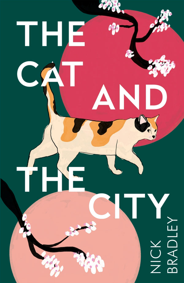 Book cover of The Cat And The City by Nick  Bradley