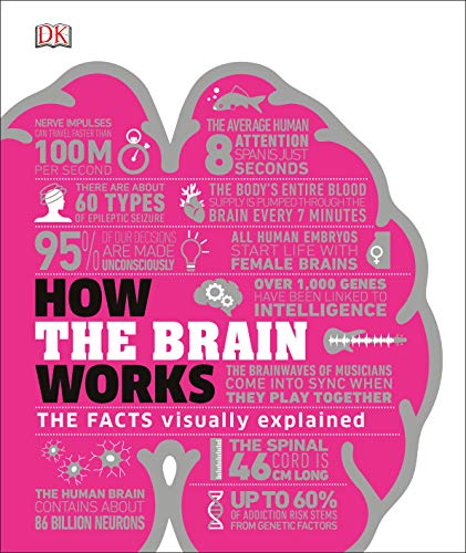 Book cover of How The Brain Works: The Facts Visually Explained by D.K. Publishing