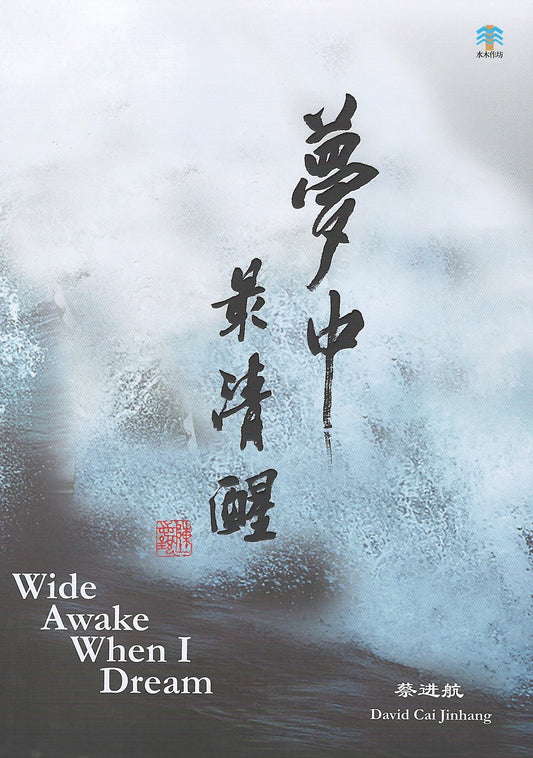 Book cover of 梦中最清醒 by David Cai Jinhang