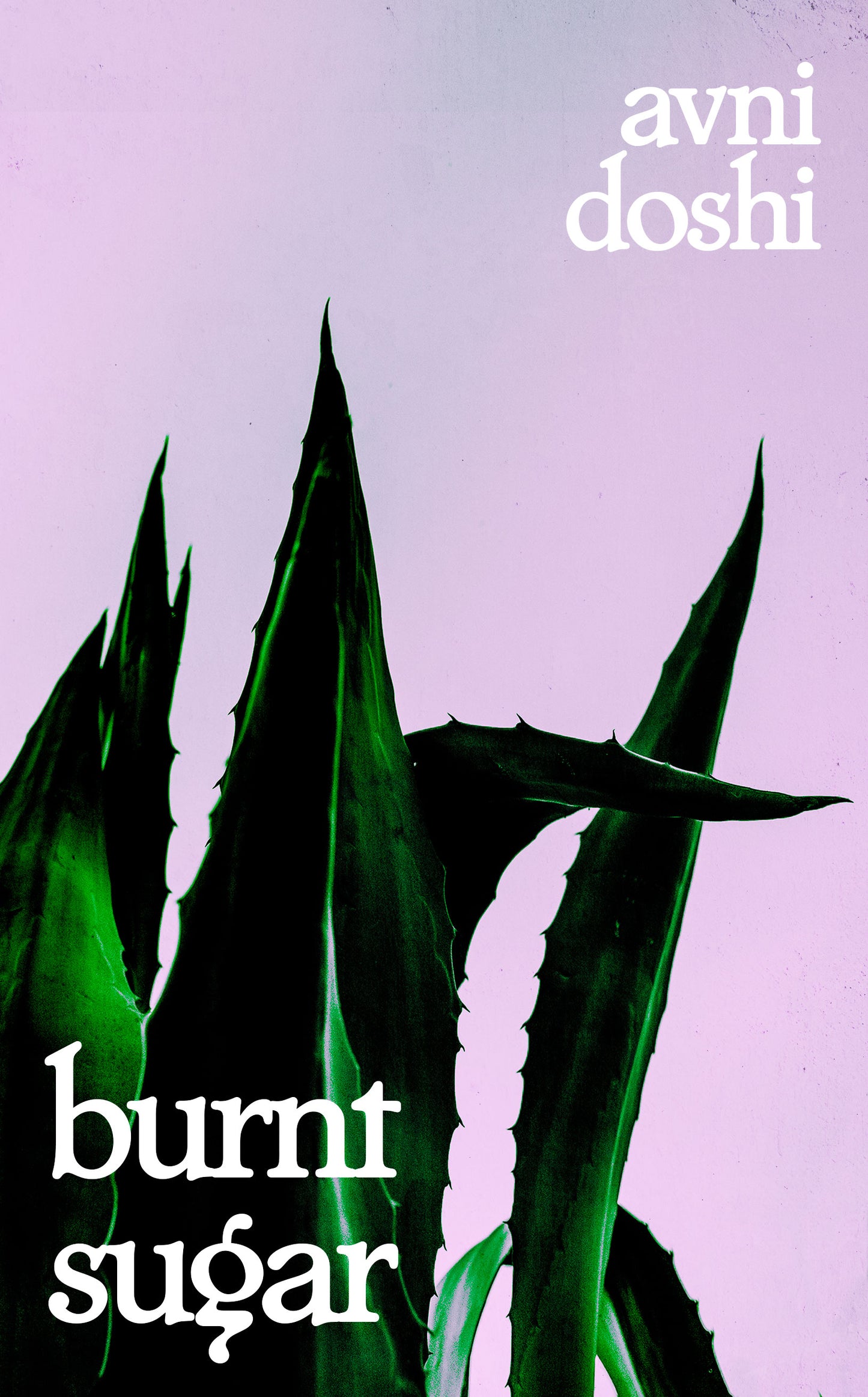 Book cover of Burnt Sugar by Avni Doshi