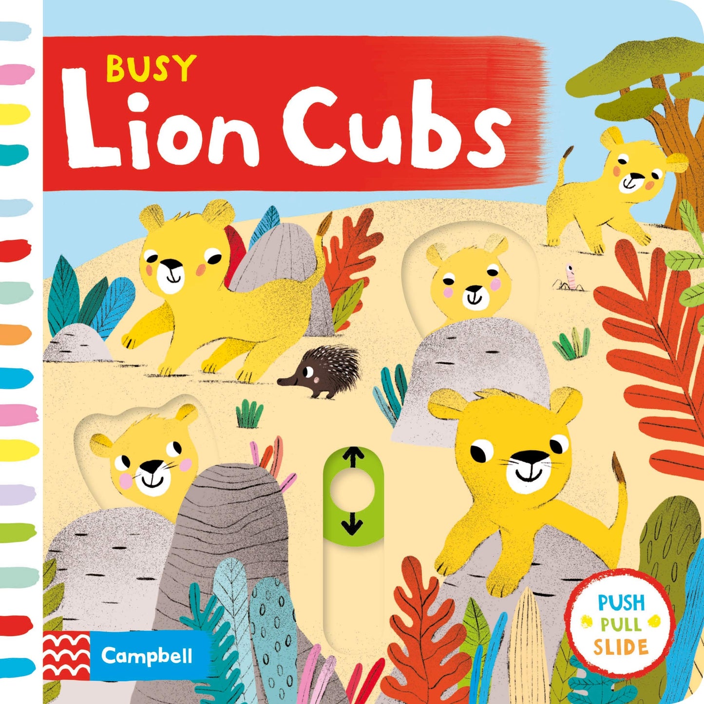 Book cover of Busy Lion Cubs by Campbell Books